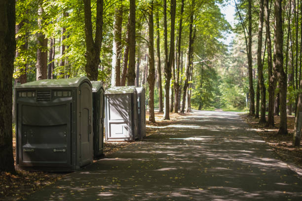 Best Porta potty rental near me  in Williams, AZ